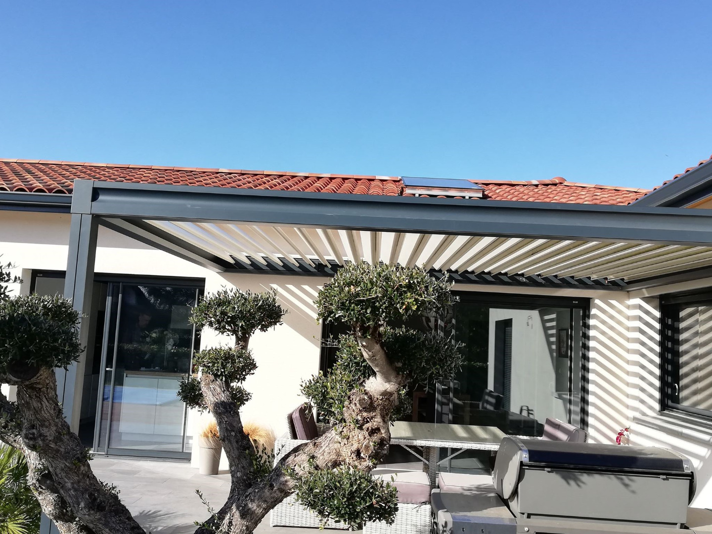 52572774-781386082239707-5426183990102982656-n