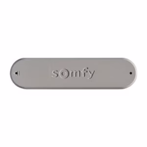 Capteur vent Somfy